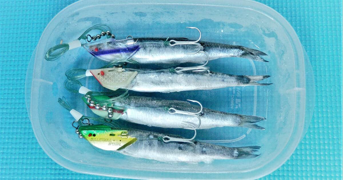 Four pre-rigged anchovy lures with hooks, arranged in a clear plastic container filled with water.