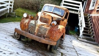 Broughton Archipelago Coho