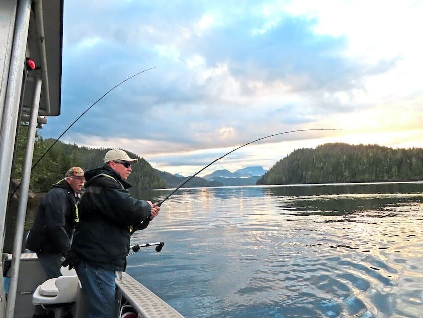 Broughton Archipelago Coho