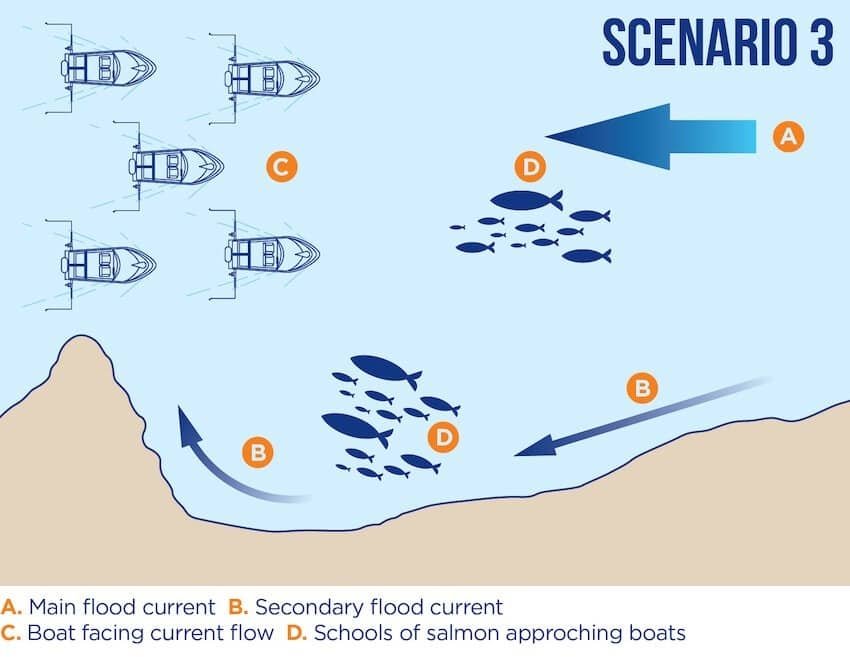 Fishing Tidal Currents To Your Advantage