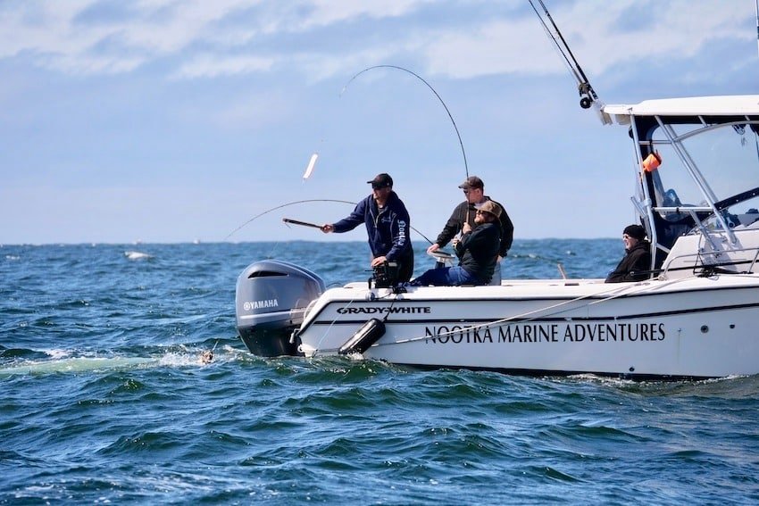 Prime Time In Nootka Sound