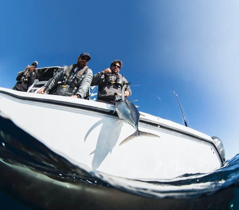 Chasing Tuna In Tofino