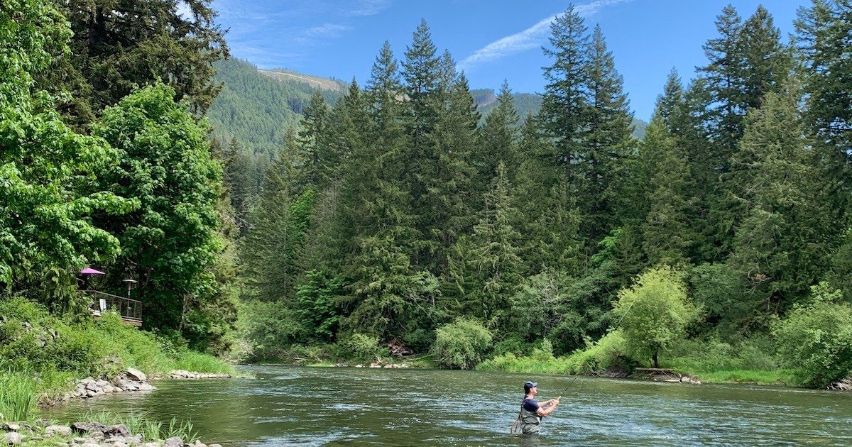Person fishing in a river surrounded by dense green trees and mountains under a clear blue sky.