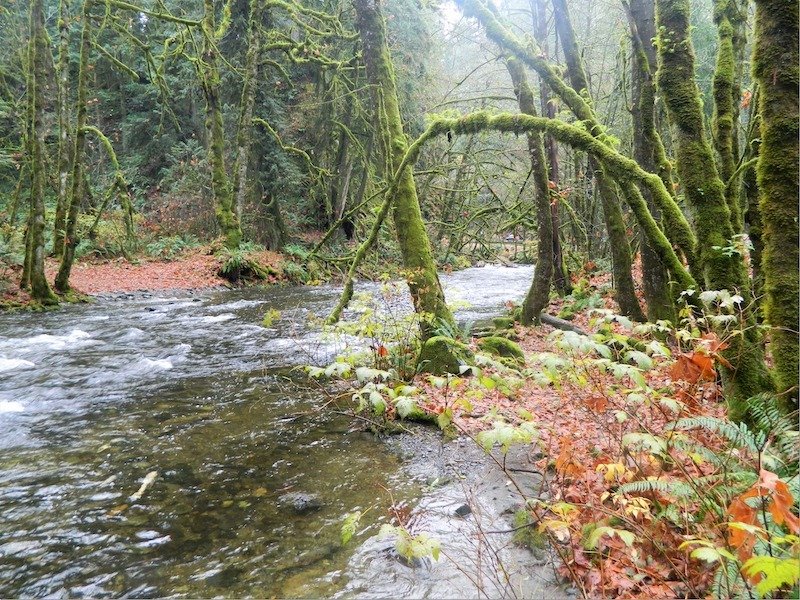 The Cowichan Harvest Roundtable: A Process That Works ... Maybe?