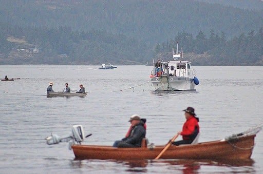 The Tyee Pool: Has the New Consultative Process Come to This?