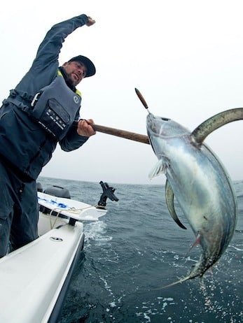 Chasing Tuna In Tofino