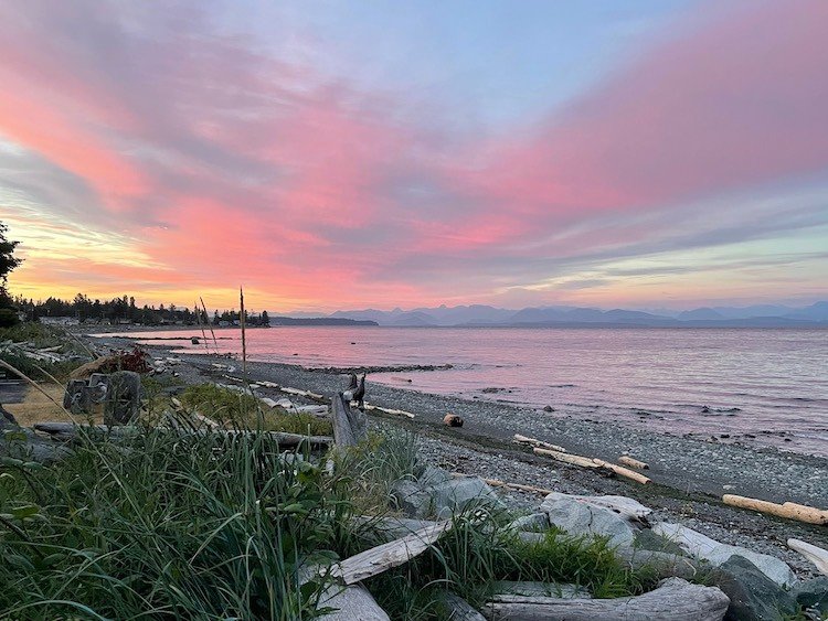 Estuary Coho On The Fly