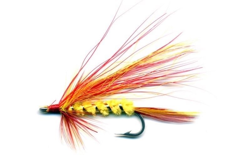 Estuary Coho On The Fly