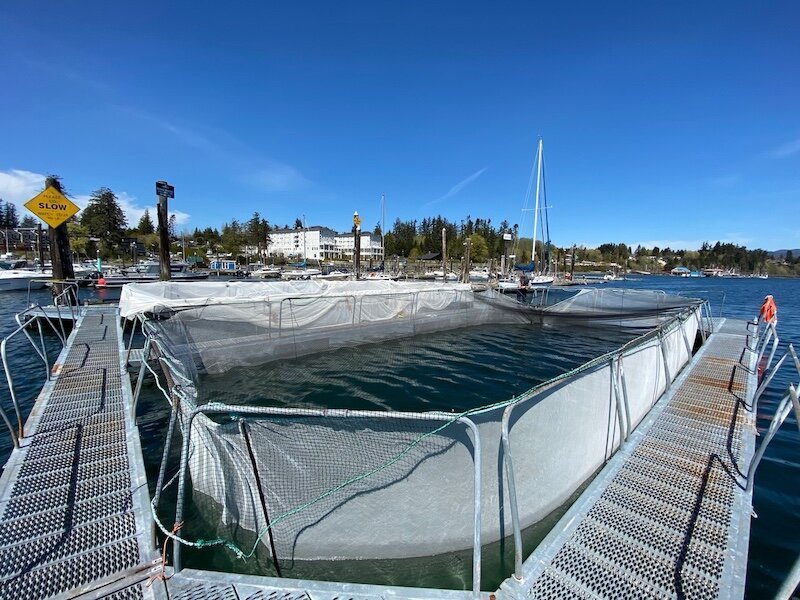 2024 Alpine Juan de Fuca Fishing Tournament a Success