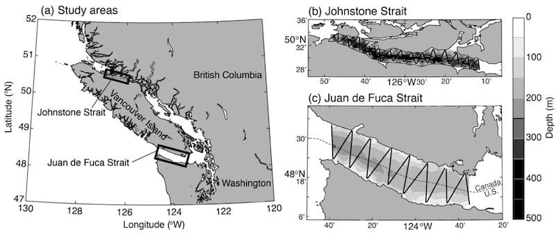 Southern Resident Killer Whales Have Plenty Of Prey, UBC Study Finds