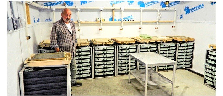 What is a Salmon Hatchery?