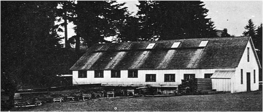 What is a Salmon Hatchery?