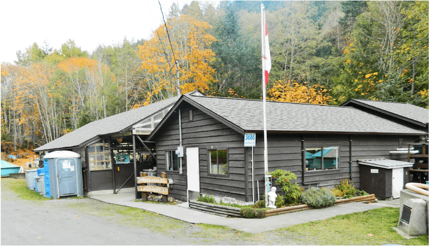 What is a Salmon Hatchery?