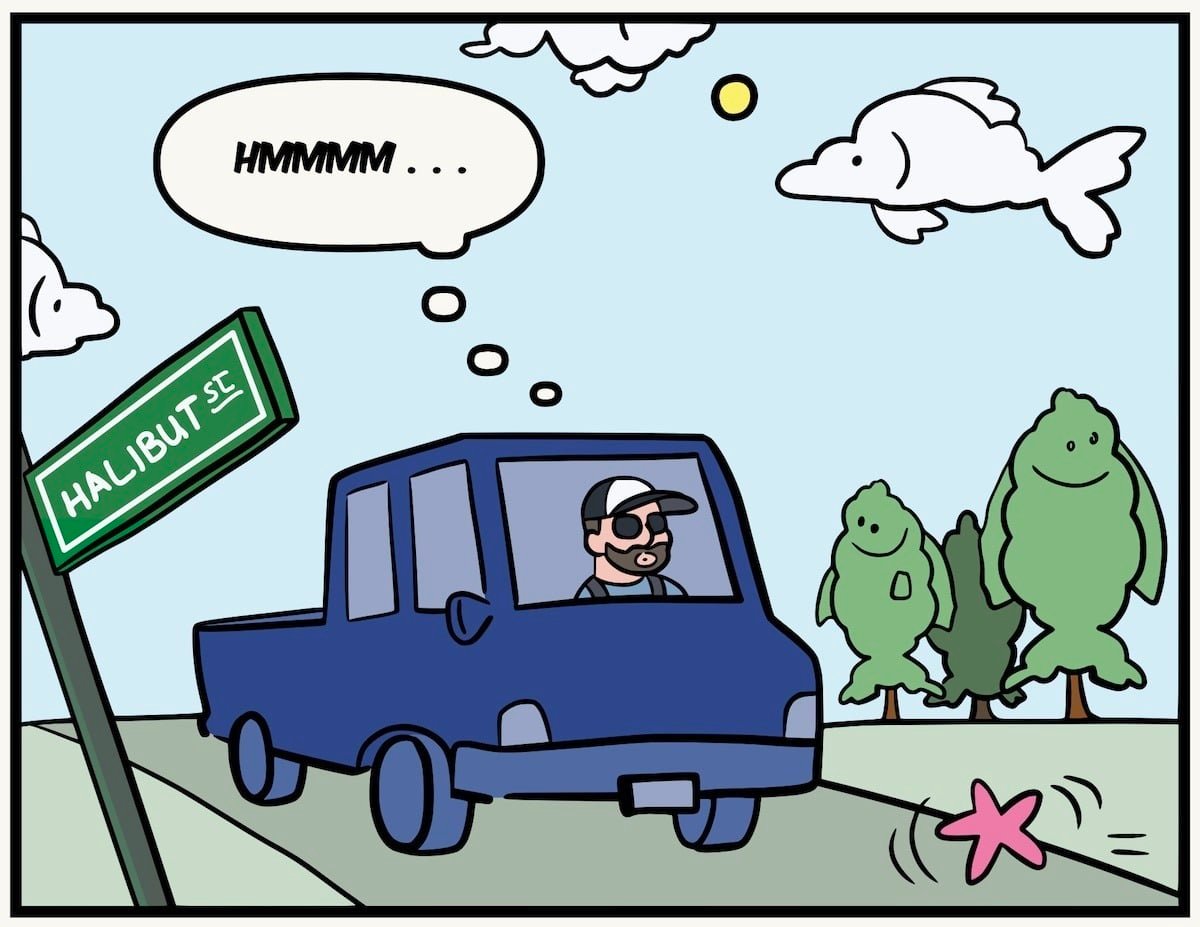 What An Island Fisherman Sees