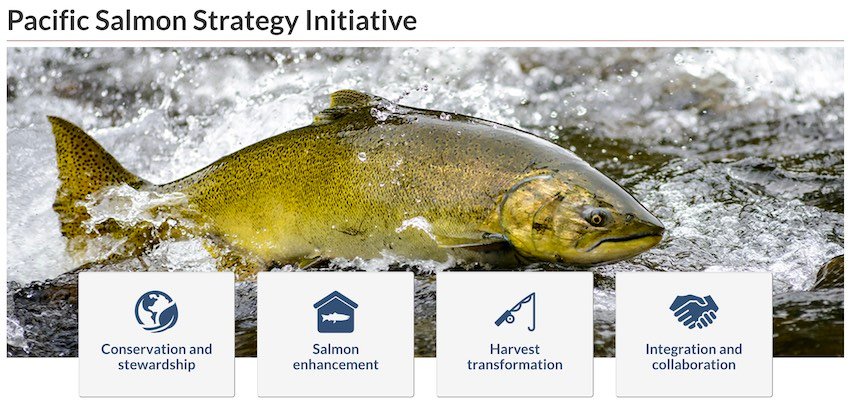 Live Update: Pacific Salmon Strategy Initiative (PSSI)