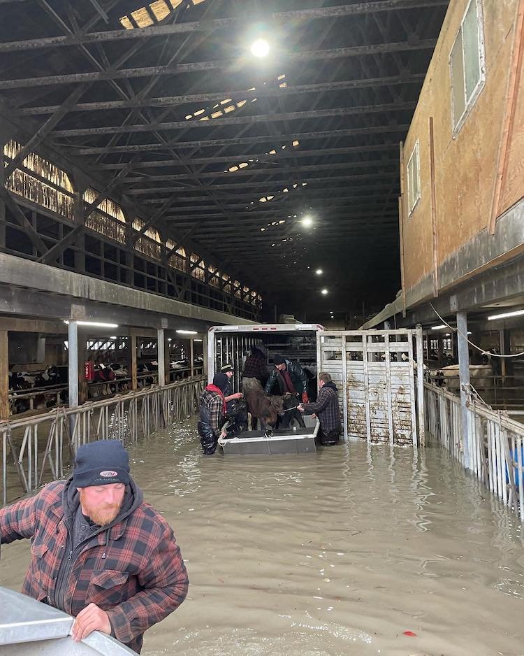 Fraser River Heroes of the November 2021 Flood Disaster