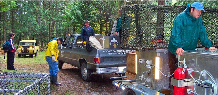 What is a Salmon Hatchery?