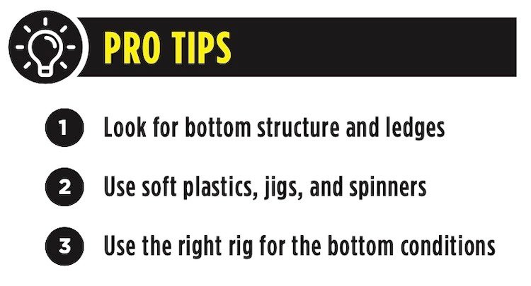 Winter Bass Fishing on Vancouver Island