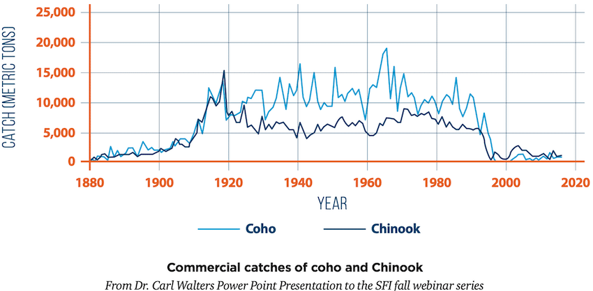 Seals & Sea Lions: Success or Disaster