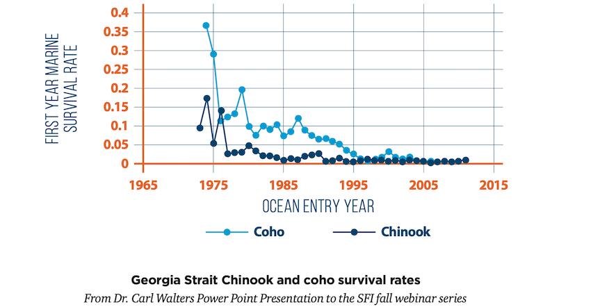 Seals & Sea Lions: Success or Disaster