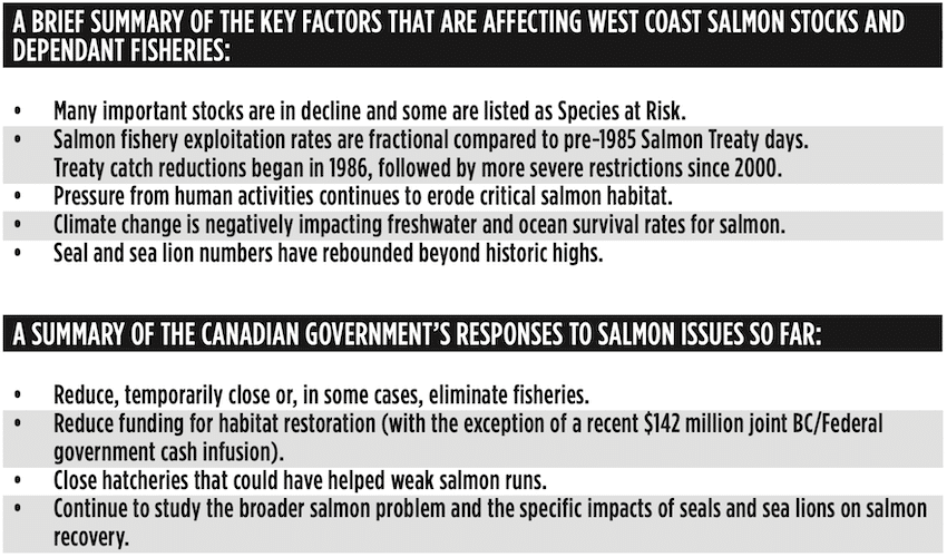 Seals & Sea Lions: Success or Disaster