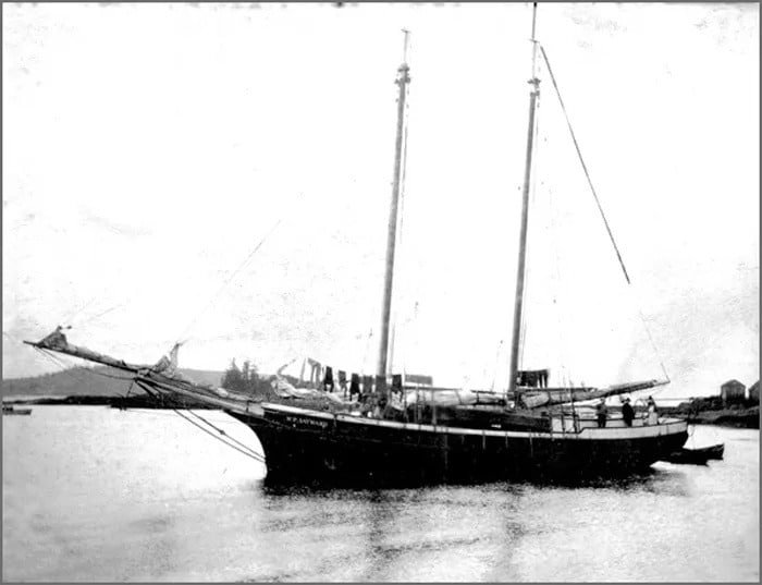 Seals & Sea Lions: Success or Disaster