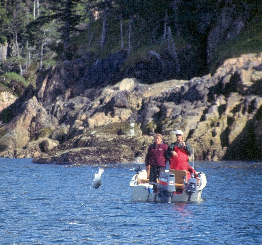 Bucktails and Streamers