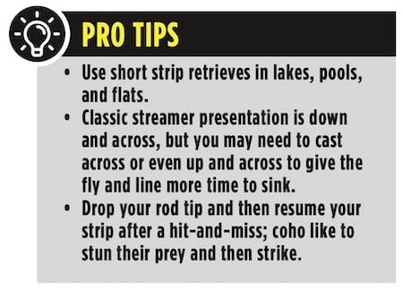 Bucktails and Streamers