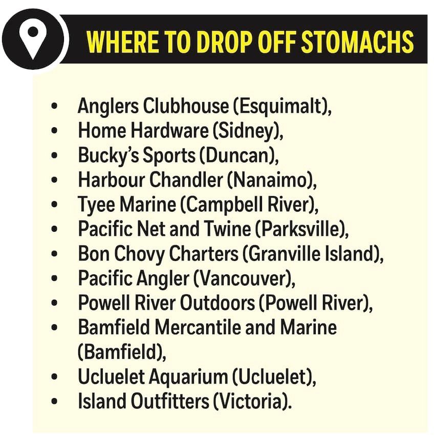 Using Chinook Salmon Diets to Understand Herring Biology
