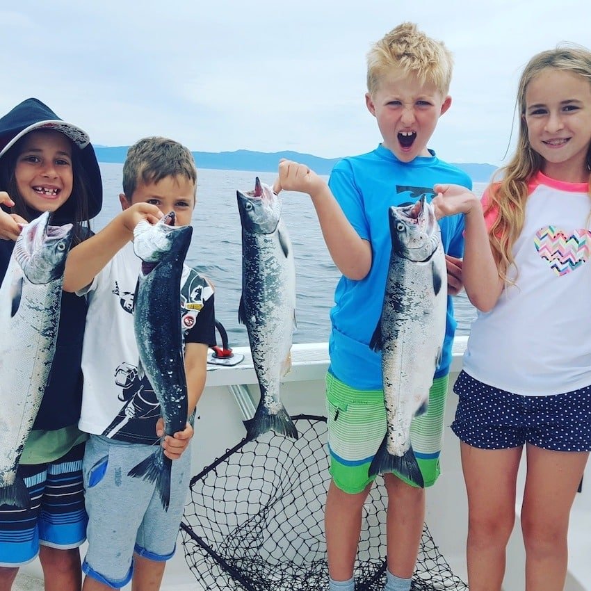 Island Original: Buzz Bomb