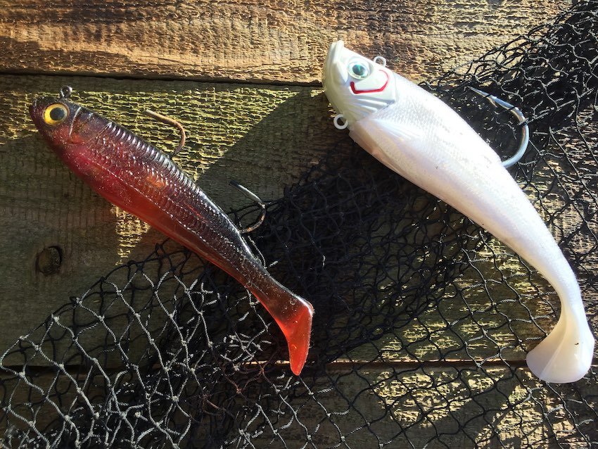 Lingcod Fishing with Swimbaits