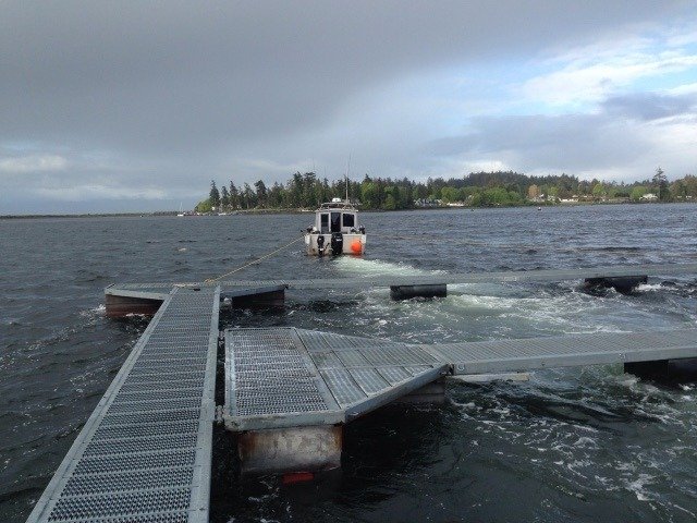 SVIAC: Anglers That Support Southern Resident Killer Whales