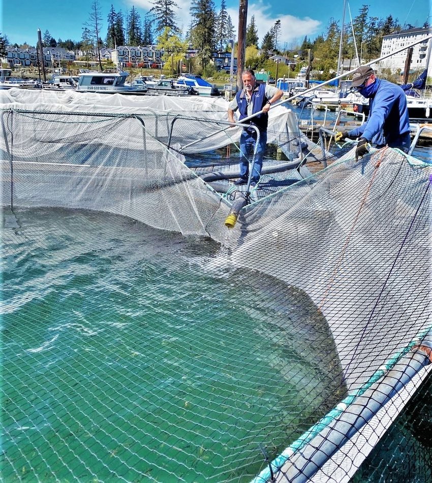 SVIAC: Anglers That Support Southern Resident Killer Whales