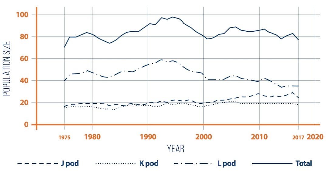 Killer Whales, Chinook Migration Patterns, UBC Whale Study & More: What's The Connection?