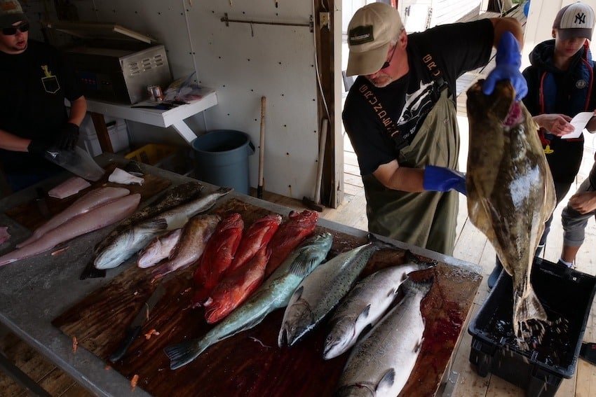 BC Coastal & Vancouver Island Sport Fishing Season Job Openings 2022