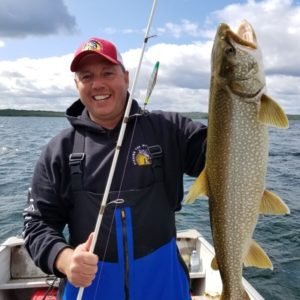 Island Original: Buzz Bomb