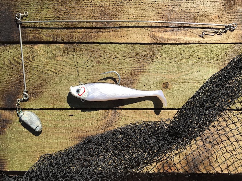 Lingcod Fishing with Swimbaits