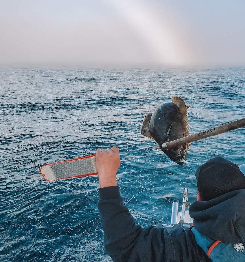 Destination Spotlight: Nootka Marine Adventures