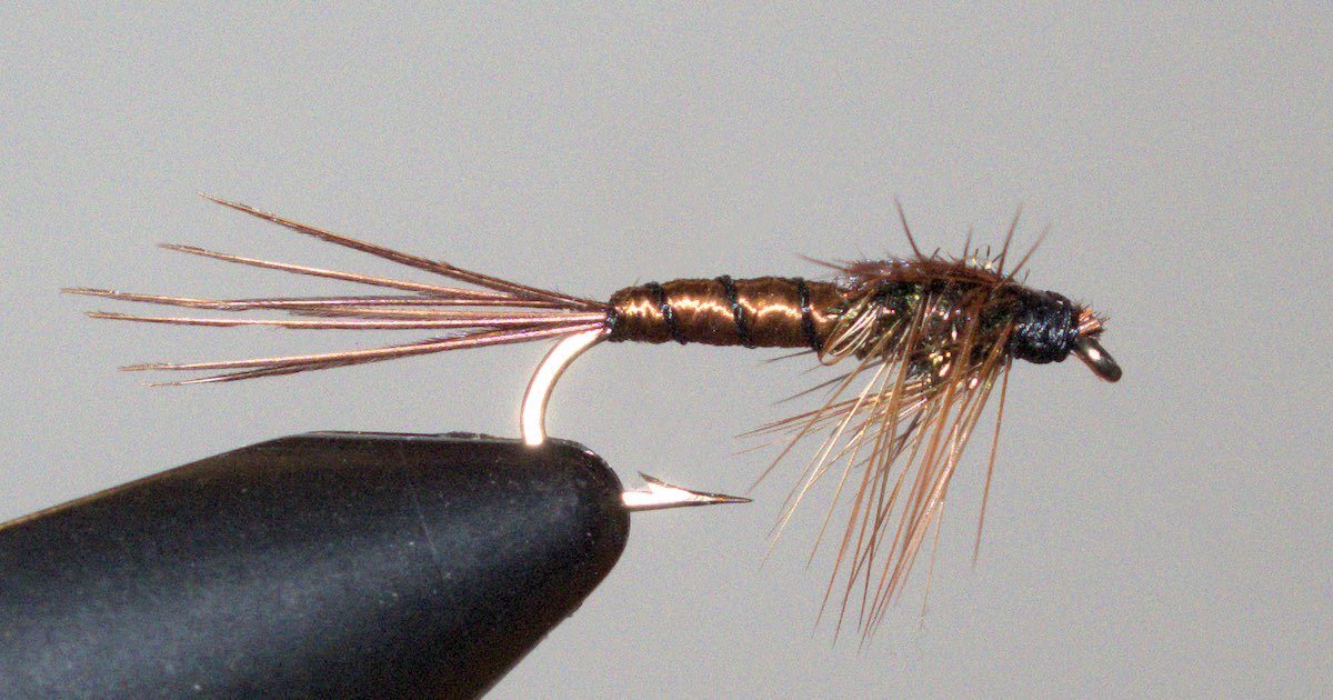Brown nymph fly tied with a copper body and long, slender legs, used in fly fishing for attracting fish.
