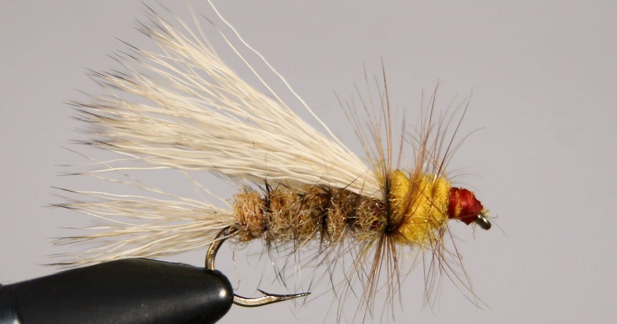 Fly of the Month May 2022: Hatches are Hatching