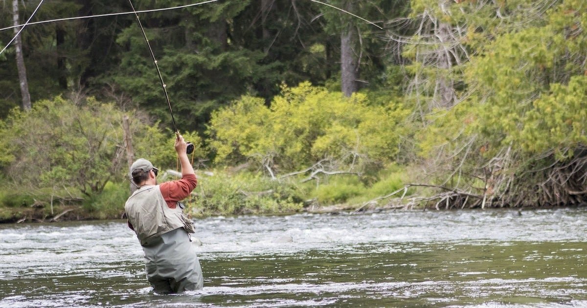 Person casting a fishing line while standing in a river, surrounded by trees and greenery.