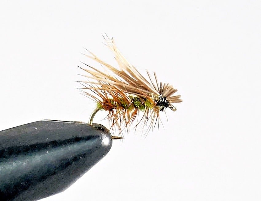 Fly of the Month June 2022: Caddis Time
