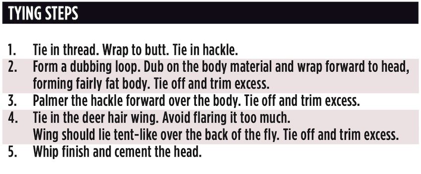 Fly of the Month June 2022: Caddis Time