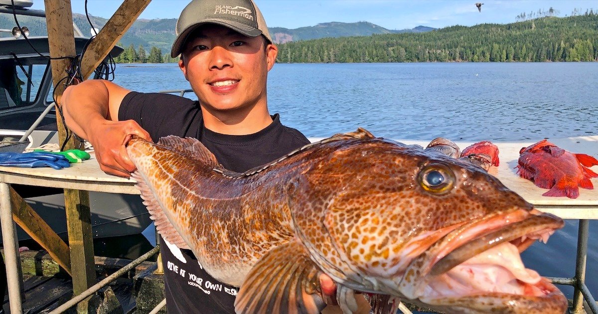 Young man holding a large lingcod fish with a scenic background of water and trees.