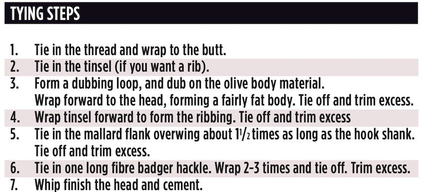 Fly of the Month June 2022: Caddis Time