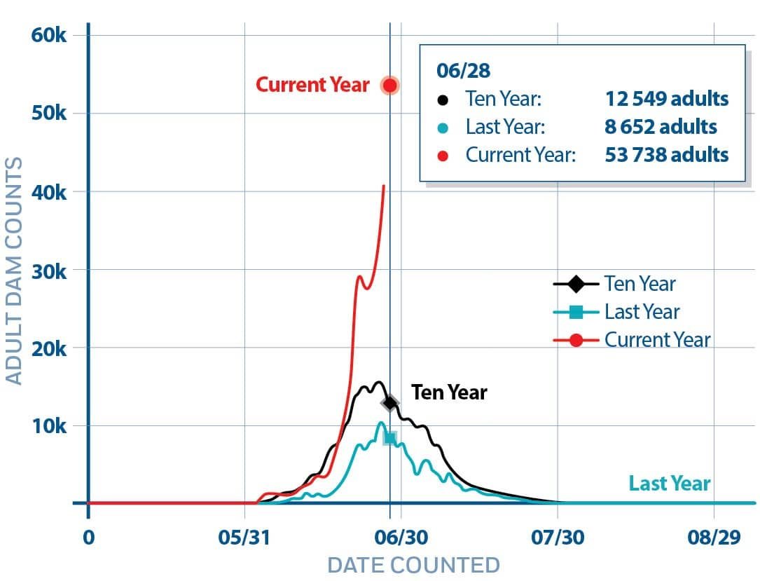 2022 Sockeye Returns: BC Outlook & The Columbia River