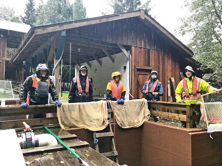 Thornton Creek: A Small Community Hatchery With Big Goals