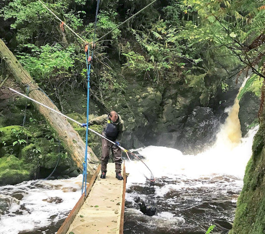 Thornton Creek: A Small Community Hatchery With Big Goals