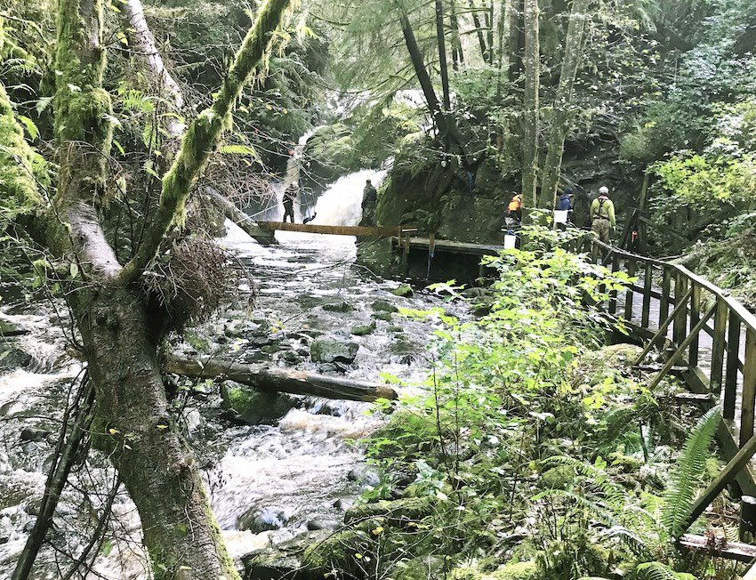 Thornton Creek: A Small Community Hatchery With Big Goals