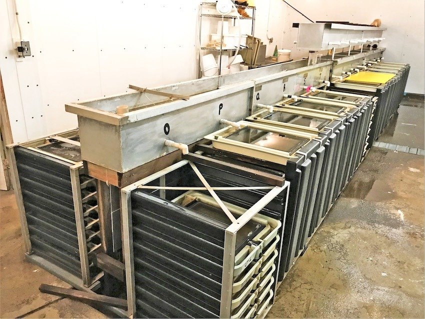 Thornton Creek: A Small Community Hatchery With Big Goals